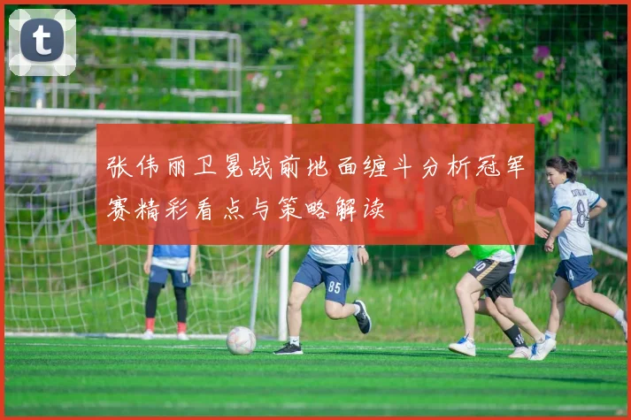 张伟丽卫冕战前地面缠斗分析冠军赛精彩看点与策略解读